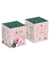 CAJA MIXTA PNG.webp